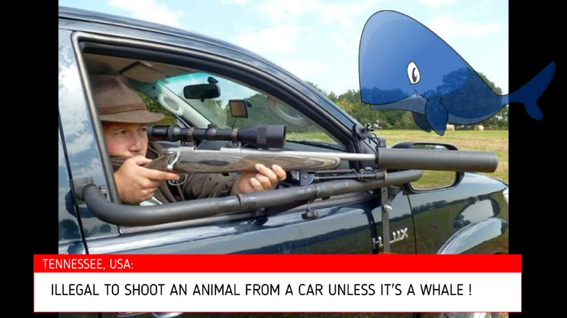 In Tennessee it's illegal to shoot a gun from a car unless it’s a whale