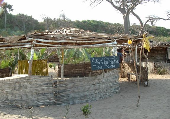 The Speckled Hen Bar - Gambia