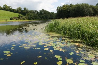 Cavan - River Erne