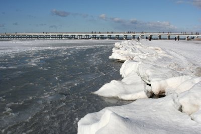 Palanga - Winter Landscape