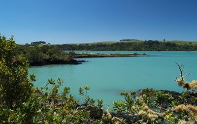 Auckland - Islington Bay