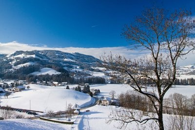 Zurich - Snow Landscape