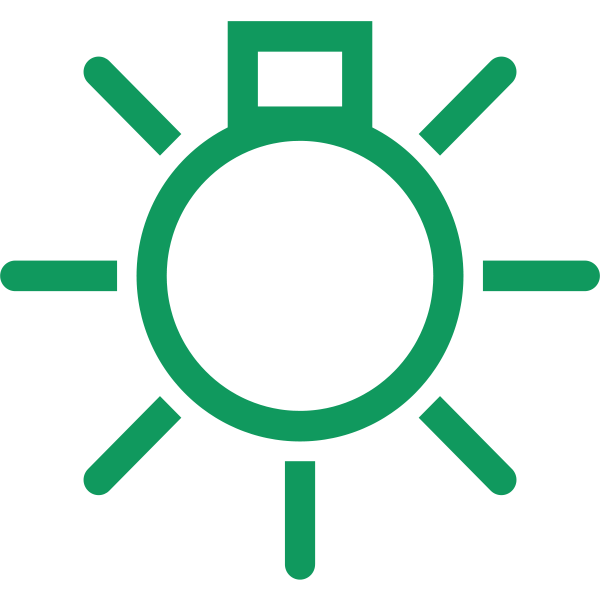 Interior light symbol in green