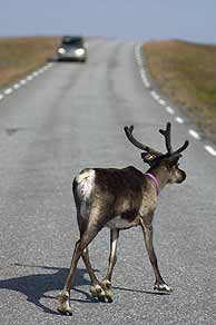 Driving in Norway