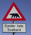 Give Way to Polar Bears Sign in Norway