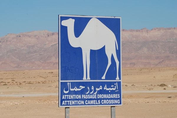 Tunisia-Motorway-Sign