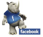 Rhino Car Hire