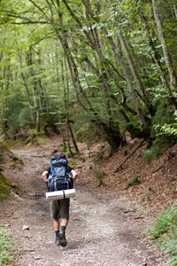 Camino De Santiago Spain