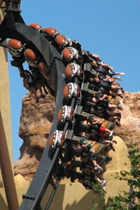 Black Mamba Germany
