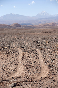 Atacama Desert Chile