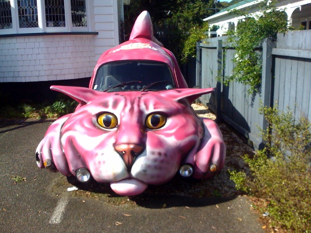 http://www.rhinocarhire.com/Images-%281%29/Blog-Images/Cat-Car.aspx?width=640&height=480