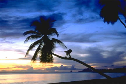 Sunset in Martinique