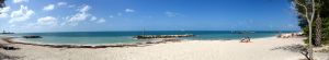 Picure Of Beach Buena Vista Palace Resort