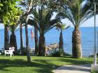 Picture of Limassol Beach Front