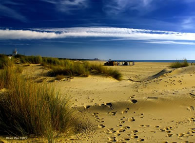 Costa de la Luz