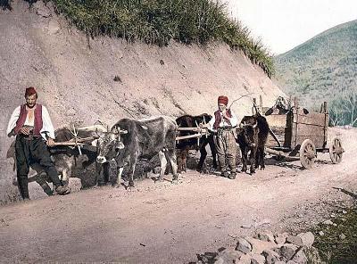Bosnia Animals