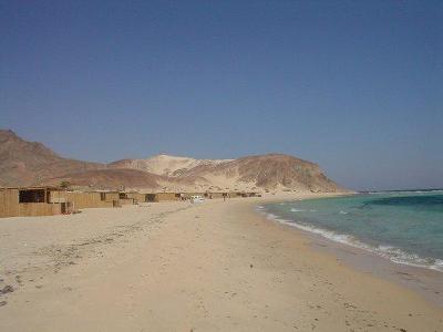 Picture of Dominia - Beach