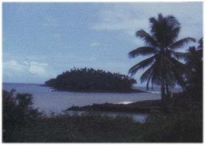Picture Of French Polynesia - Bridge