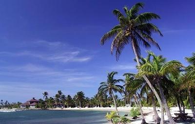 Picture Of Honduras Beach