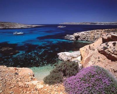 Picture Of Malta Sea