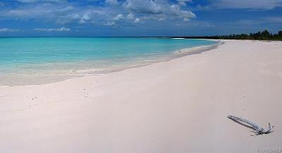 Picture Of New Caledonia Beach