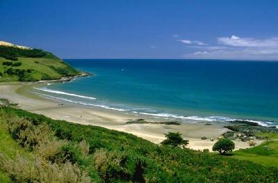 New-Zealand-Beach.jpg