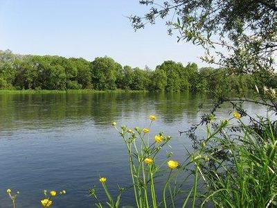 Picture Of Poland River