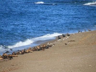 Pictures Of Romania Beach