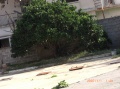 Derelict Petrol Station Famagusta