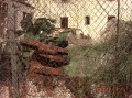 Van Behind Fence