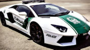 Police Cars UAE