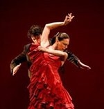 Flamenco Culture Spain