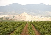 Picture of La Rioja Spain