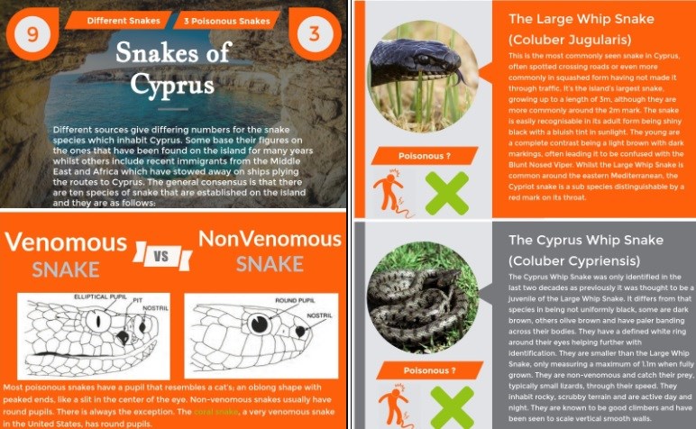 Cyprus Snakes Infographic Link