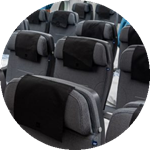 scandinavian airlines seat colour