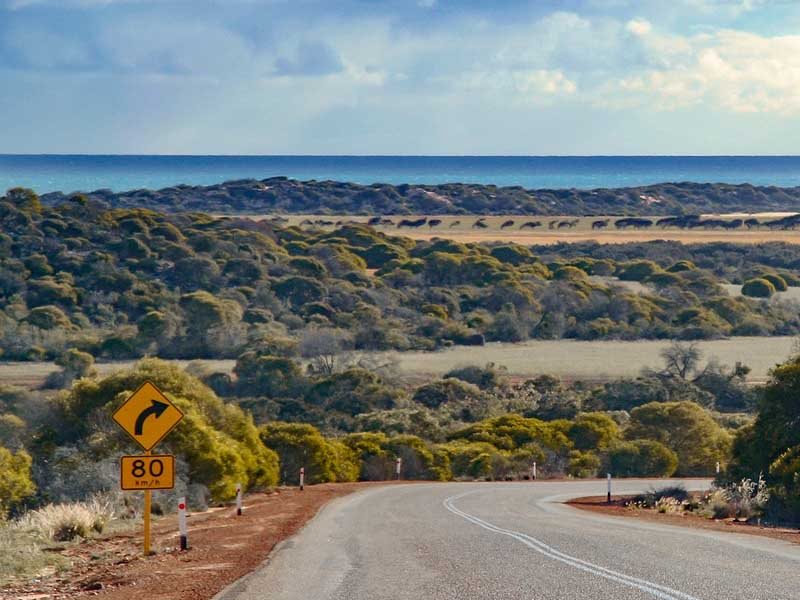 australia new zealand tourism to resume