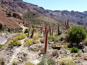 Teide National Park Tenerife Car Hire
