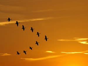 formation flying