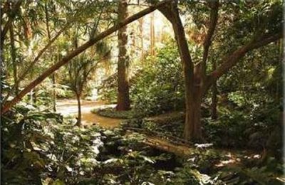 La Concepcion Botanical Garden of Malaga