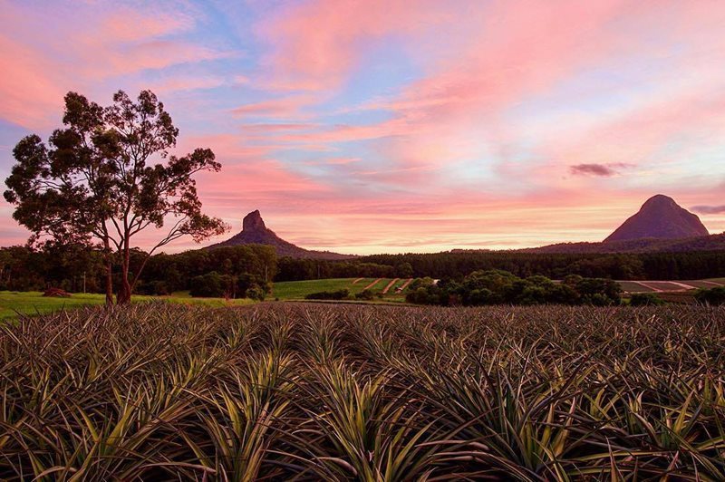 Car Hire Maroochydore Airport Rhino Car Hire