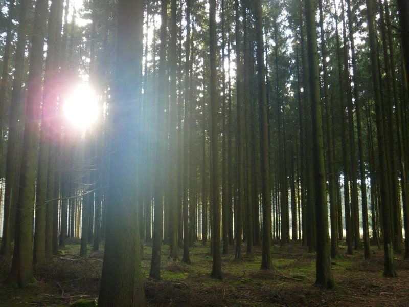 Car Hire Belgium, No.1 For Price & Service