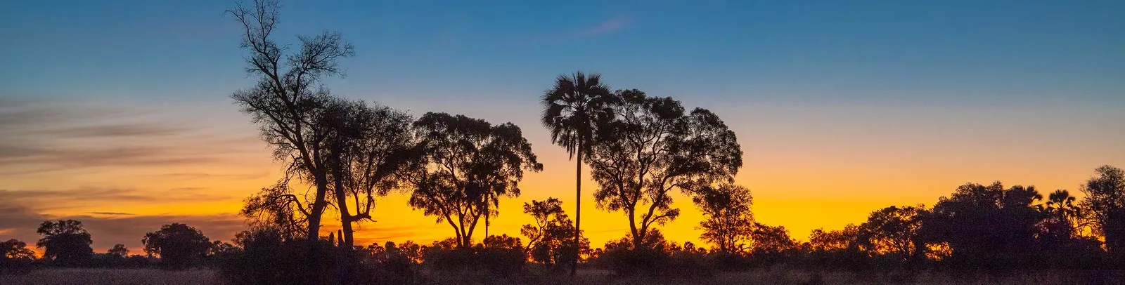 Botswana Banner Image