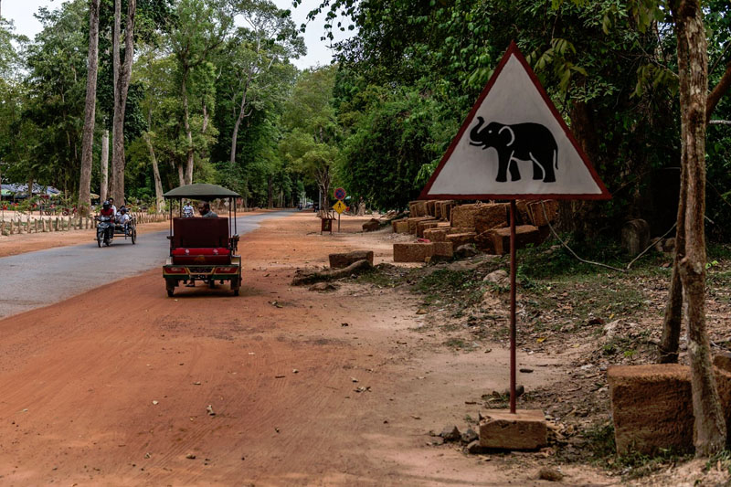 Car Hire Cambodia Cheap Car Rental Cambodia from