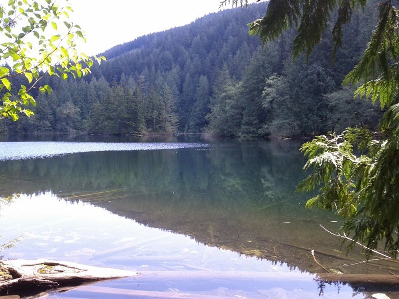 Car Hire Abbotsford Airport Car Rental Abbotsford Airport with Rhino