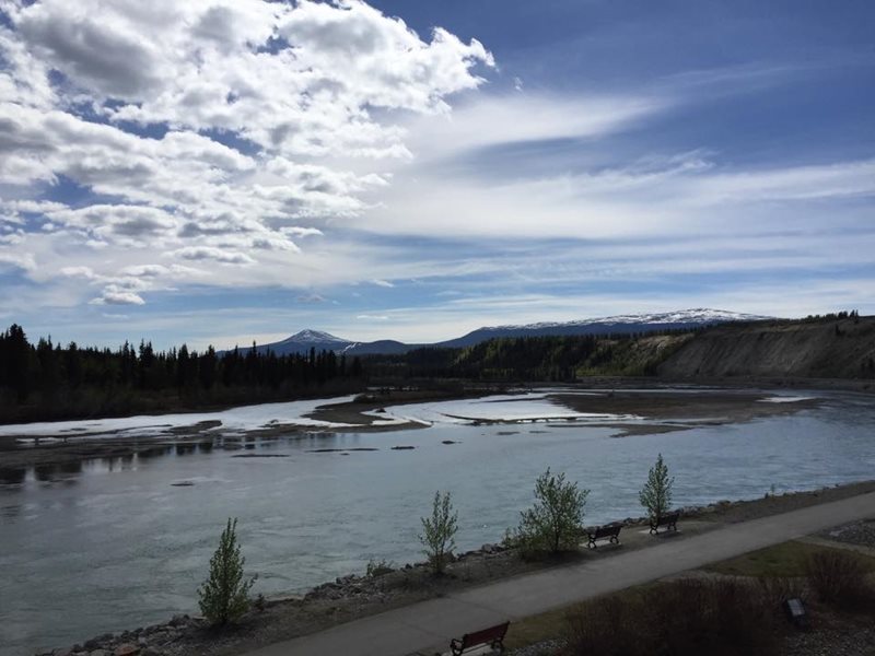 Car Hire Whitehorse Airport Car Rental Whitehorse Airport from Rhino