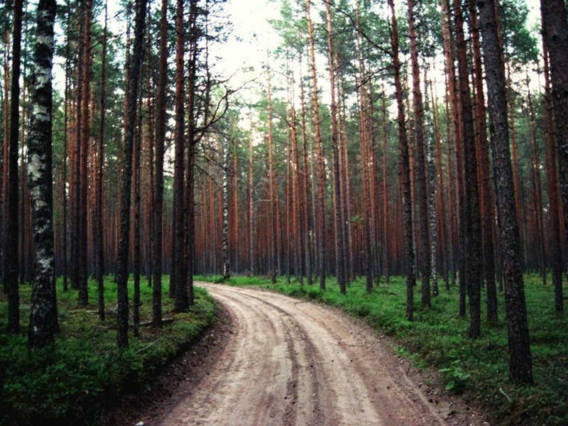 Car Hire Estonia Book Estonia Car Rental with