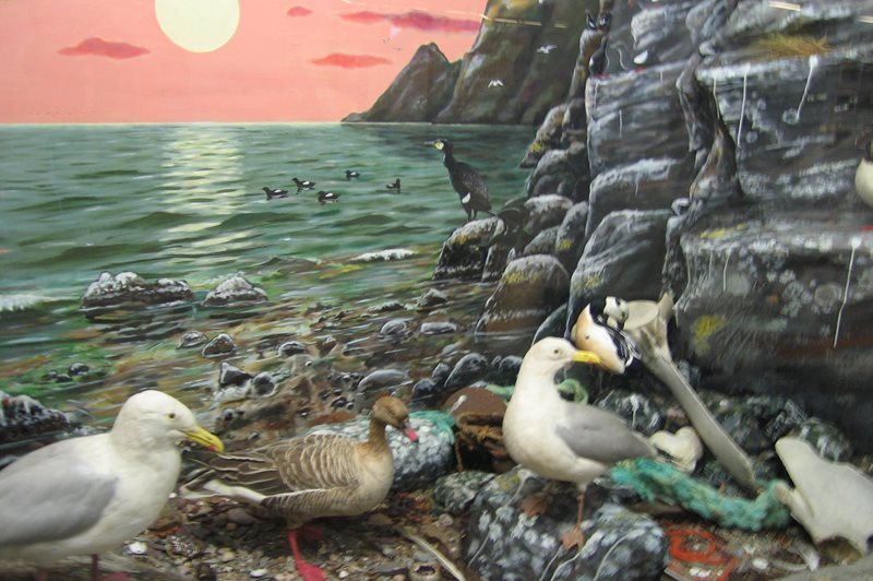 Car Hire Oulu Cheap Car Rental Oulu Finland