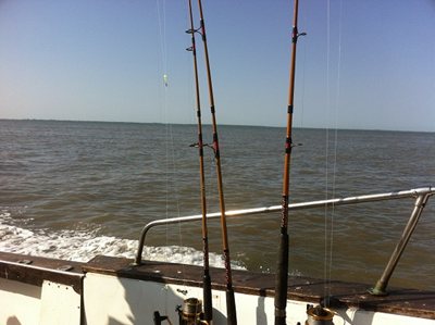 Gambia Fishing