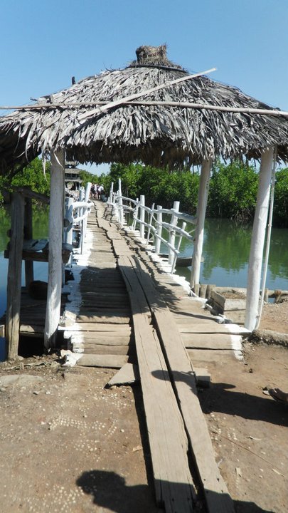 Lamin-Lodge-Gambia
