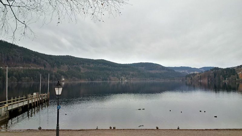 Baden Black forest